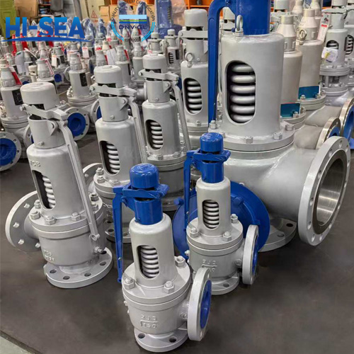 Marine Safety Valves Key Knowledge Points